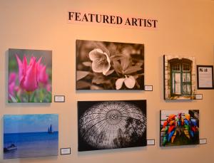 Debbi Granruth Harford County Photographer Is The Featured Artist At Arts By The Bay Gallerys New Spring Exhibit